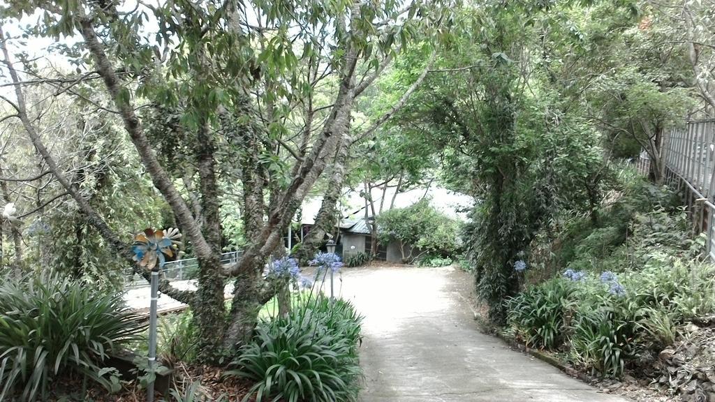 Qing Jing Xiao Taiyang Jingguan Homestay Renai Exterior foto